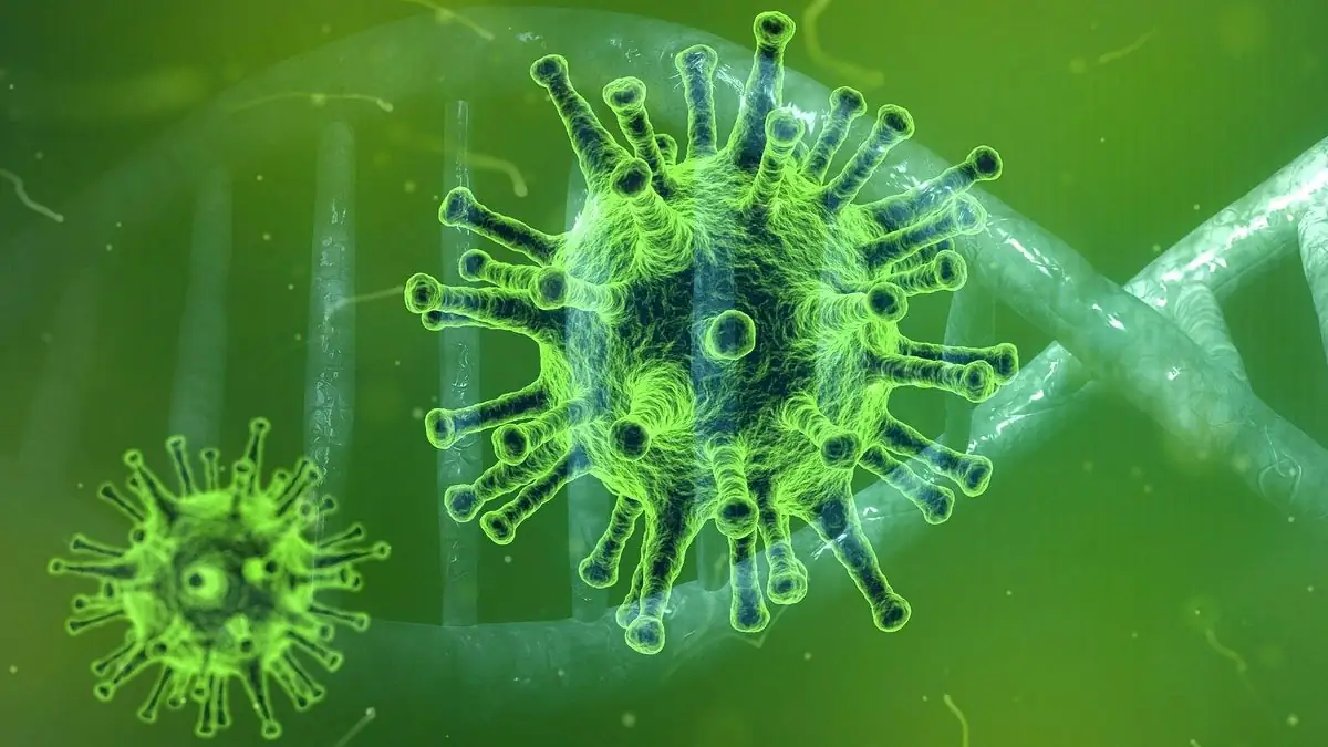 Corona: Erschreckende Prognose mit 100.000 Fällen pro Tag