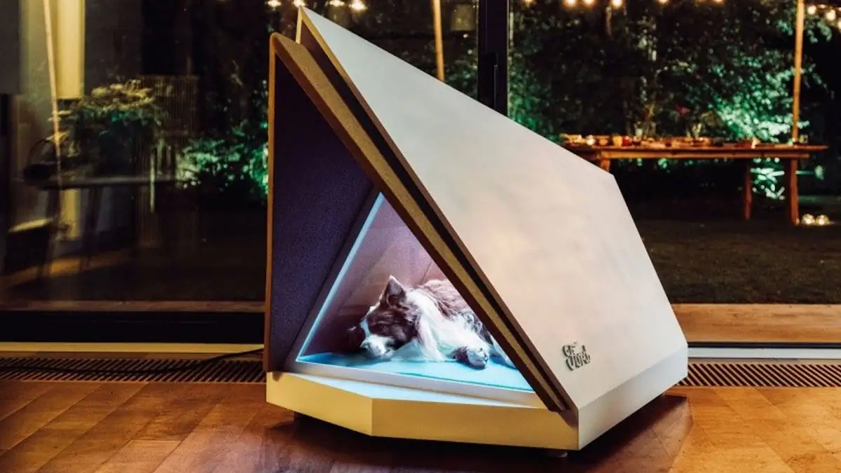 Ford: Hundehütte mit Noise Cancelling vorgestellt