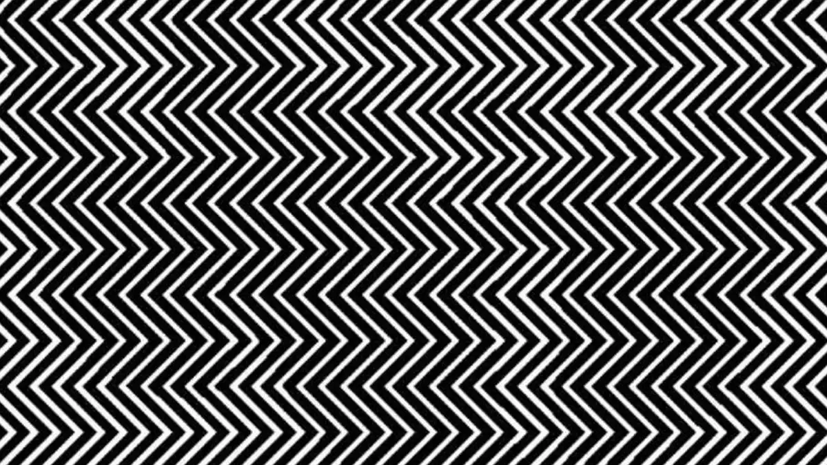 Optische Illusion: Welches Tier versteckt sich hier?