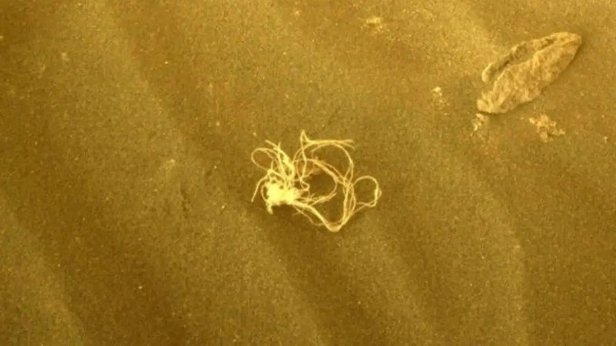 NASA löst Mysterium um seltsame „Weltraum-Spaghetti“ auf