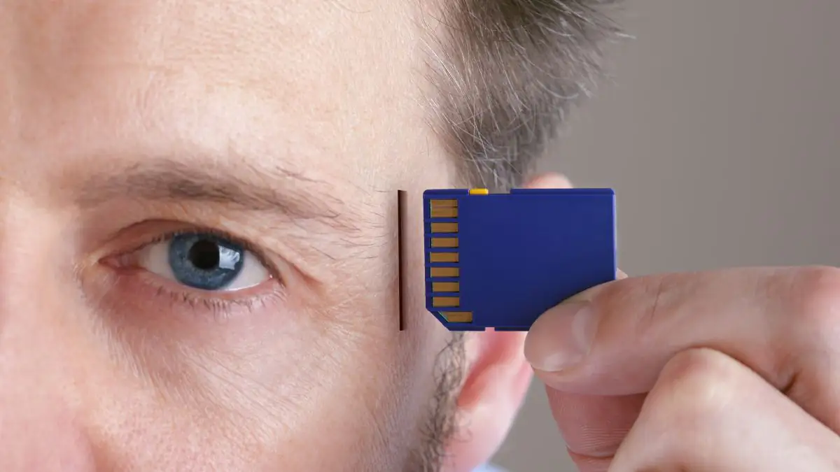 Gehirnchips sollen fertig für den Alltag sein