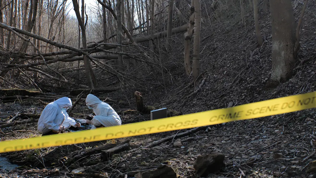 NRW: 69-Jähriger sprengt sich im Wald in die Luft