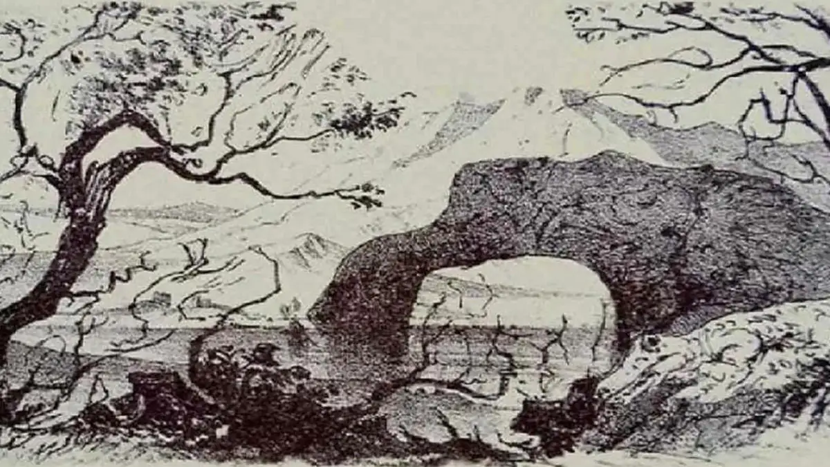 Optische Täuschung: Findest Du alle Tiere? Nur die wenigsten Menschen schaffen es in 15 Sekunden!