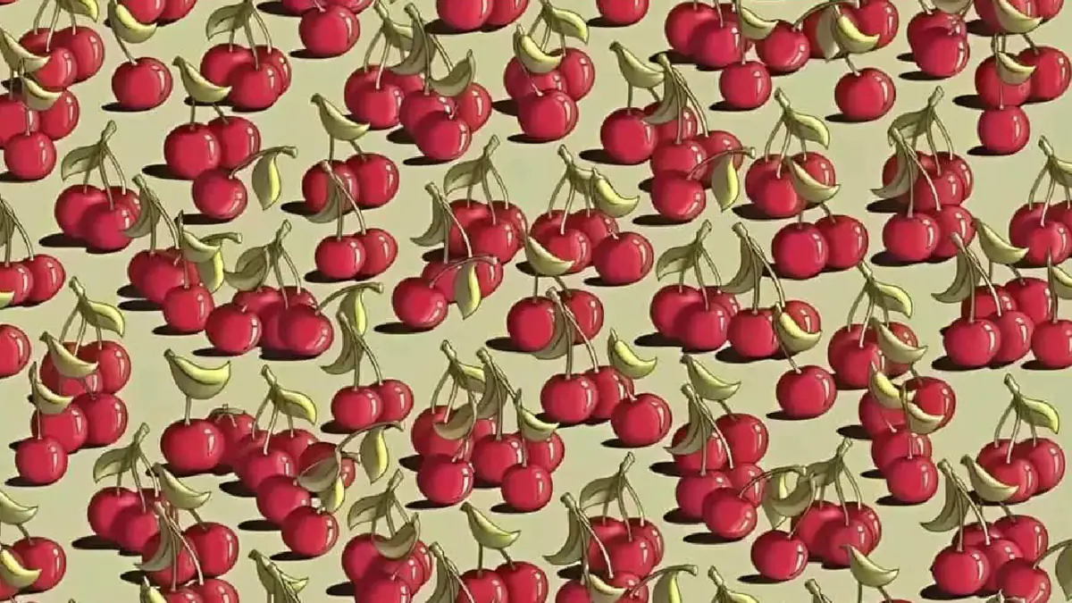 Kniffliges Suchbild: Findest du die Tomate in neun Sekunden?