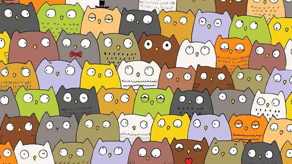 Optische Illusion als IQ-Test: Wer entdeckt die Katze in 15 Sekunden?