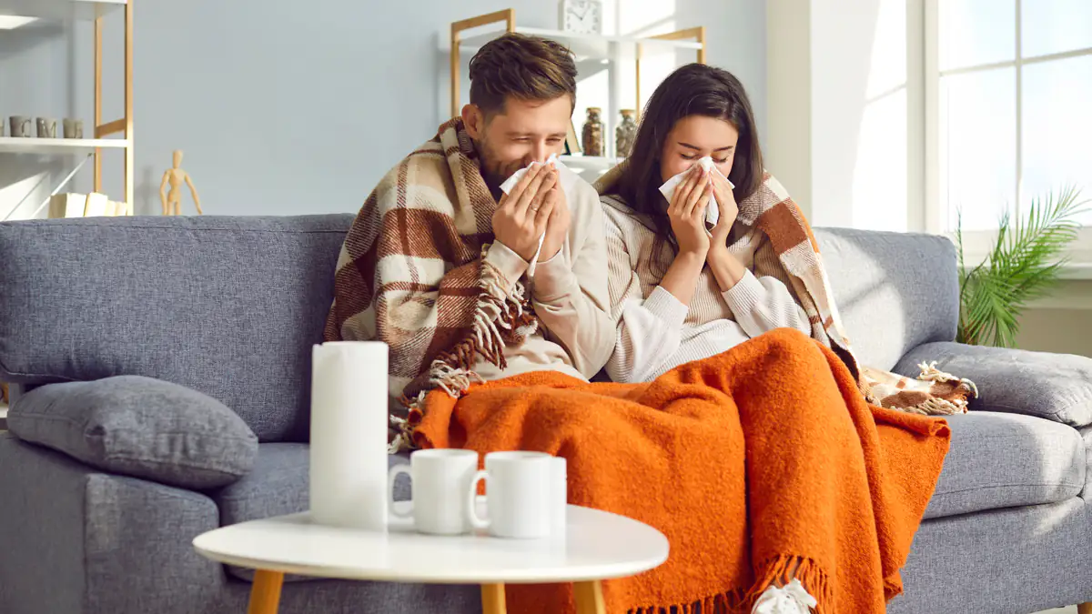 Papageienkrankheit: Das sind die Symptome der Infektion