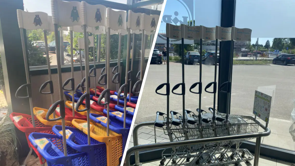 Wofür ist die Fahne am Einkaufswagen für Kinder?