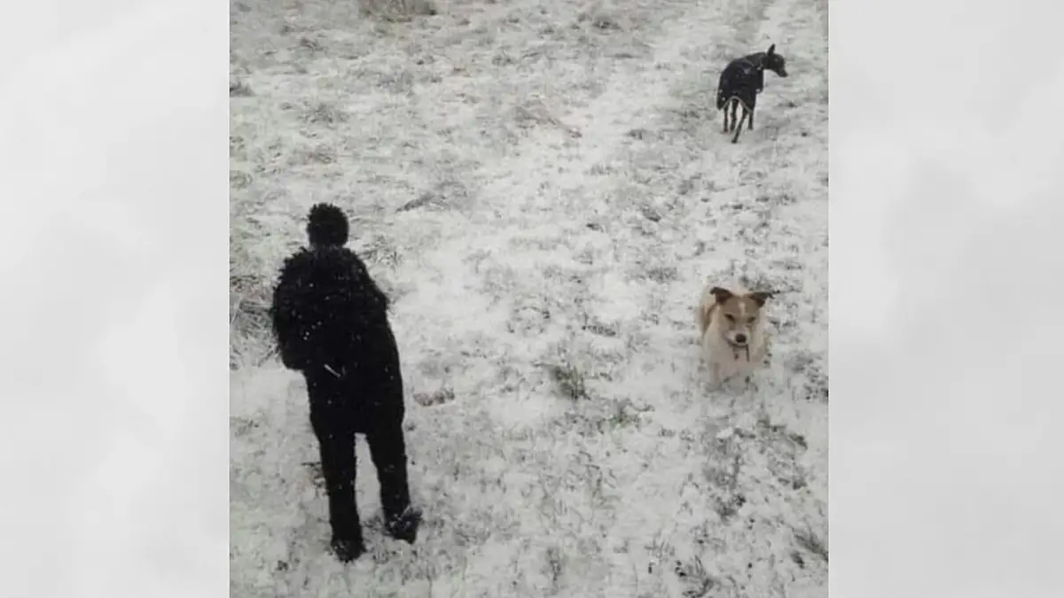 eu-neue-regel-pet-flaschen