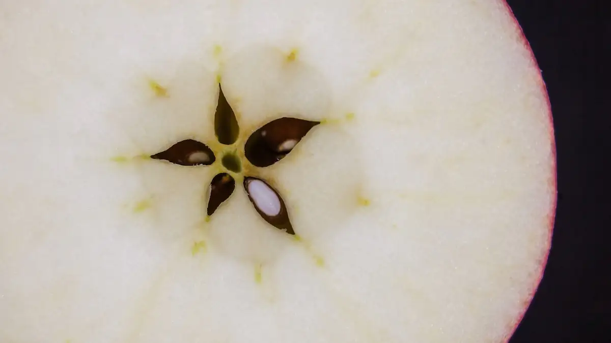 Aufgeschnittener Apfel zeigt Kerne