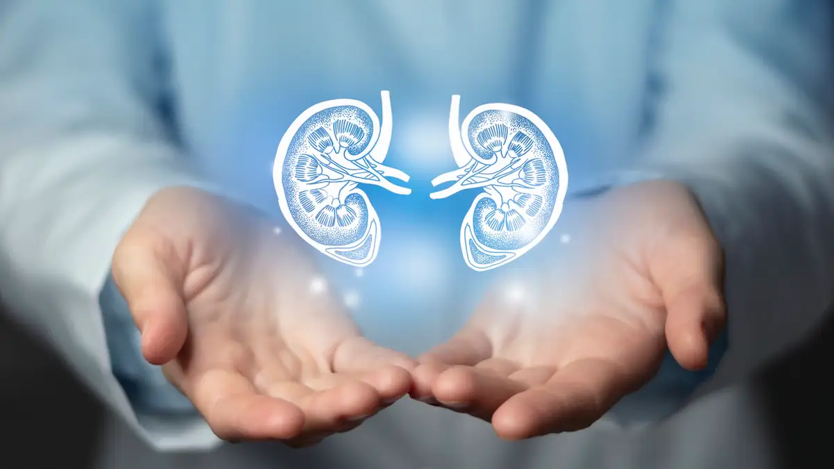 Nierenprobleme medizinisches Konzept. Foto der Ärztin, leerer Raum.