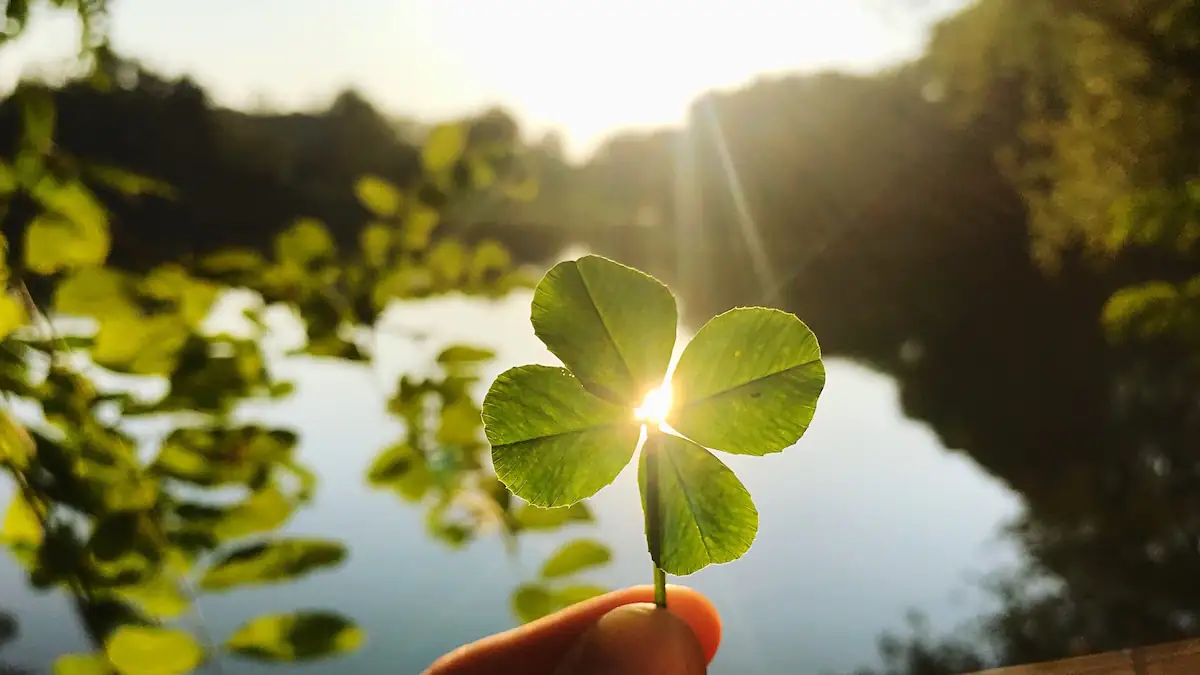 Symbolbild für Glück: Kleeblatt wie gegen die Sonne gehalten