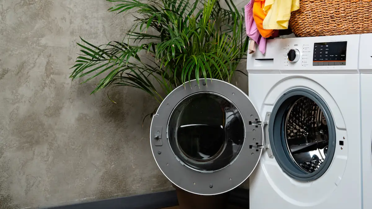 Waschmaschine steht offen neben einer Zimmerpflanze, auf dem Gerät steht ein Korb mit Wäsche