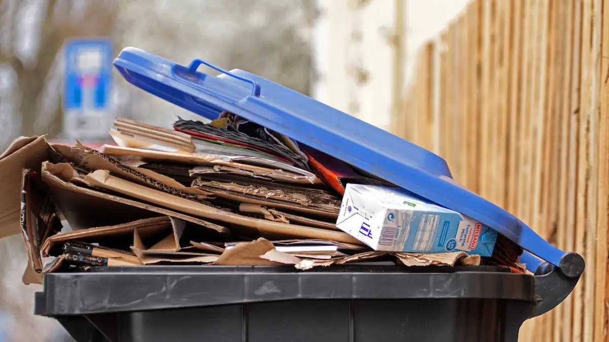 Zusammengedrücktes Altpapier in einer Mülltonne