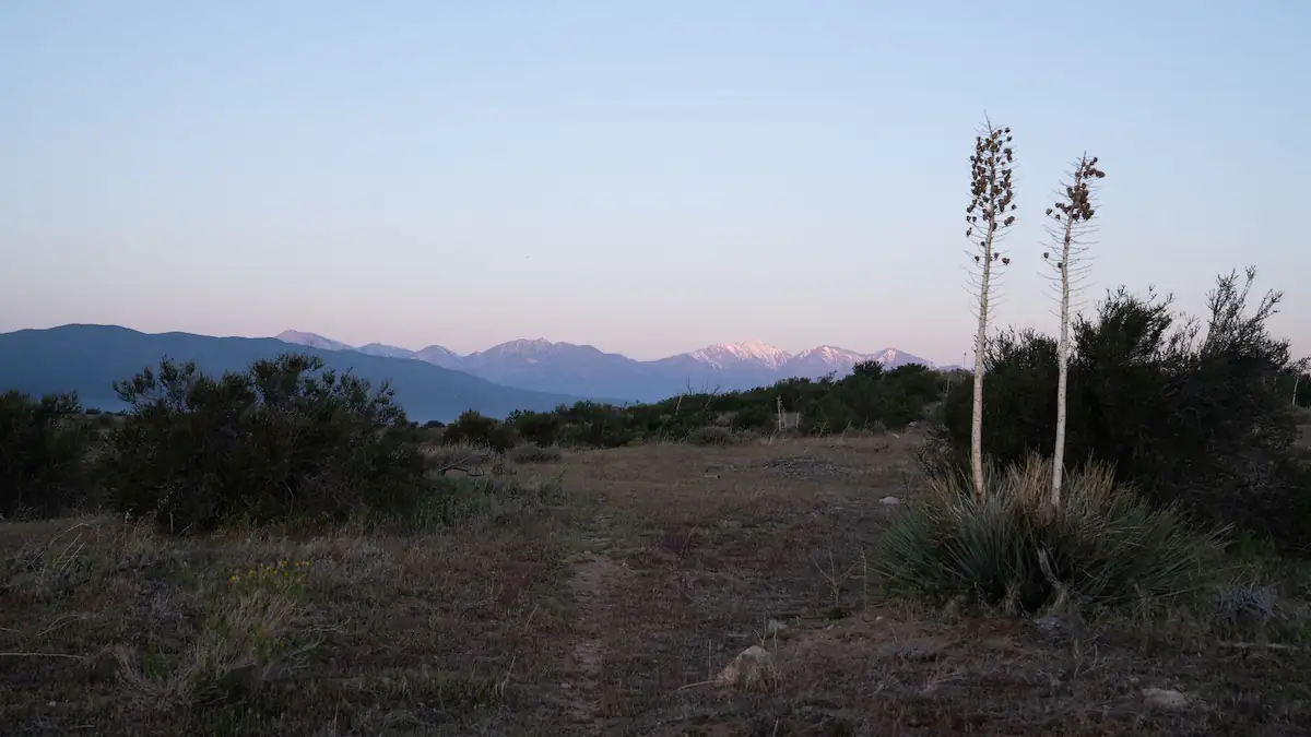 Landschaft nahe der Planstadt Silverwood in Kalifornien: Wüste mit leichter Vegetation vor Bergkette
