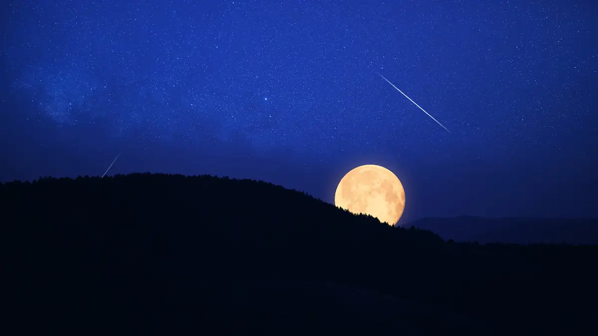 Vollmond am dunklen Nachthimmel, der gerade hinter einer Waldlandschaft aufsteigt