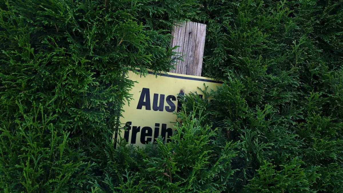 „Ausfahrt freihalten“-Schild in Österreich, das halb in einer grünen Hecke verschwindet