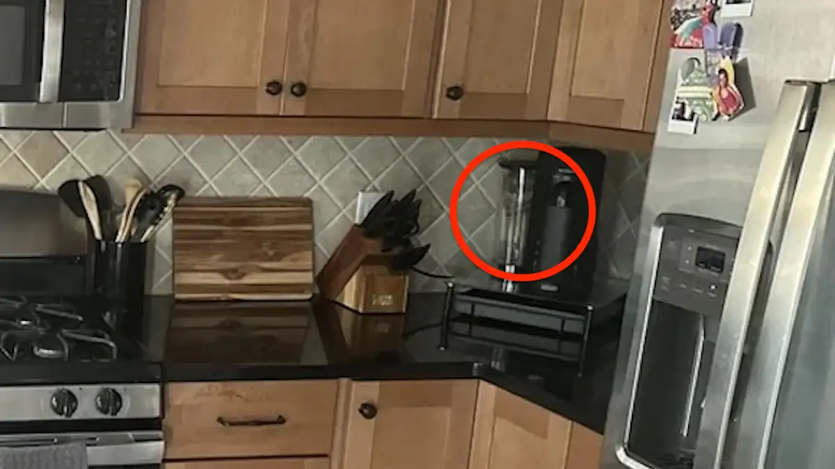 Bild einer Küche, in der sich eine Katze hinter einer Kaffeemaschine versteckt, die rot umkreist ist