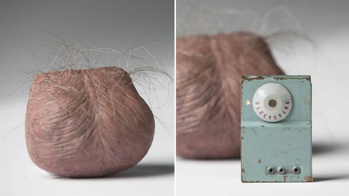 CIA: Geheimdienst entwickelte einen künstlichen Hodensack