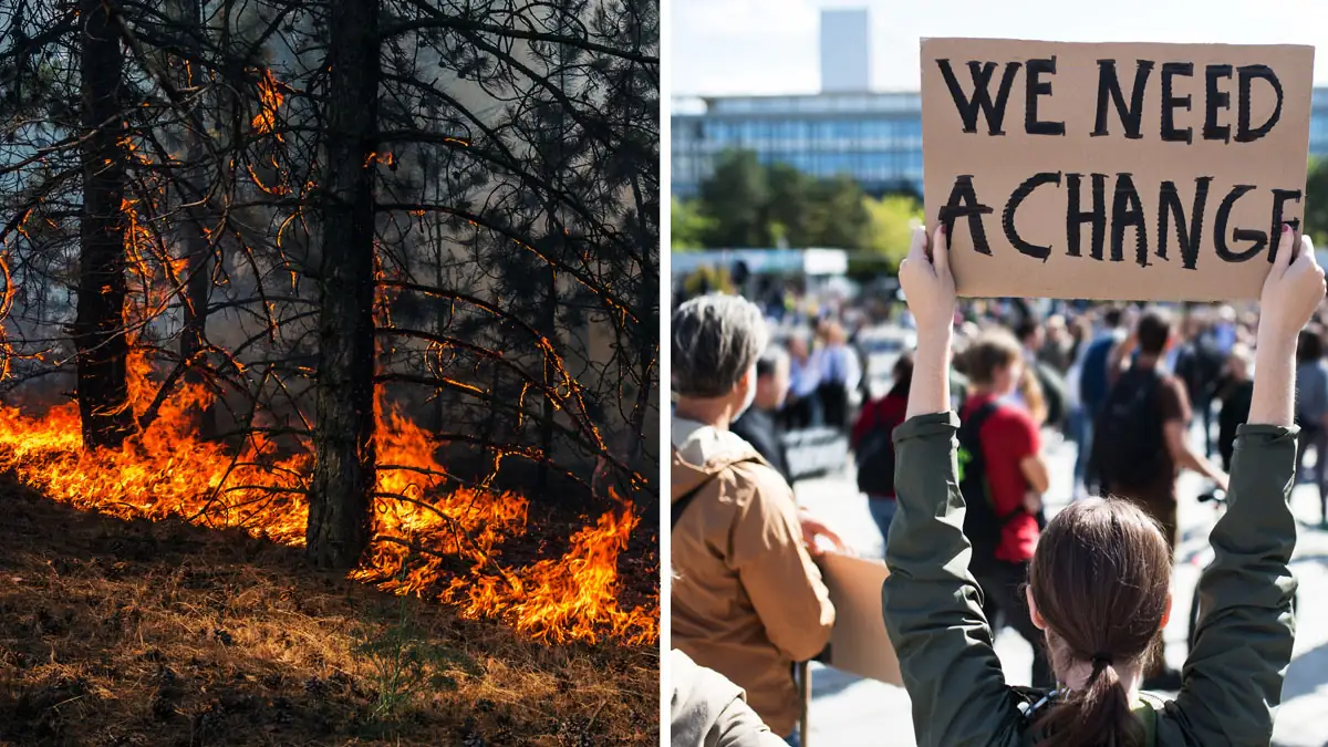 Mehr als 11.000 Wissenschaftler warnen vor einem weltweiten „Klima-Notfall“