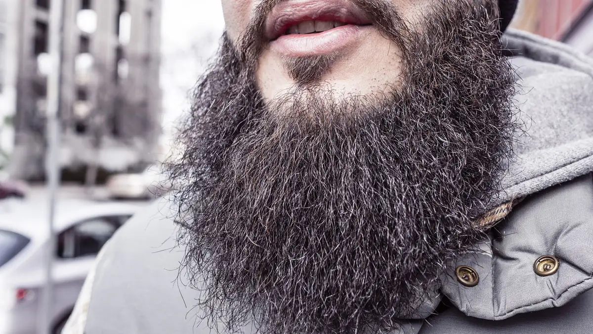 Studie: In Hipster-Bärten sind mehr Bakterien als in Hundefell