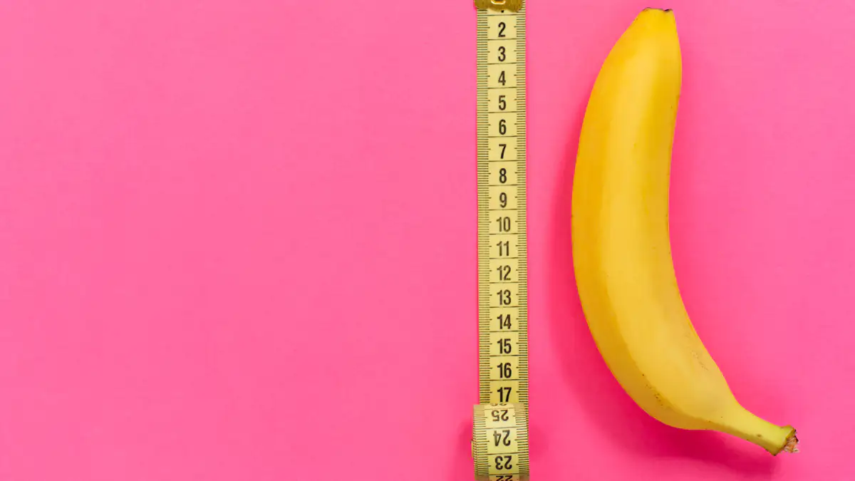 Penis-Ranking: In diesen Ländern leben die gut bestückten Herren