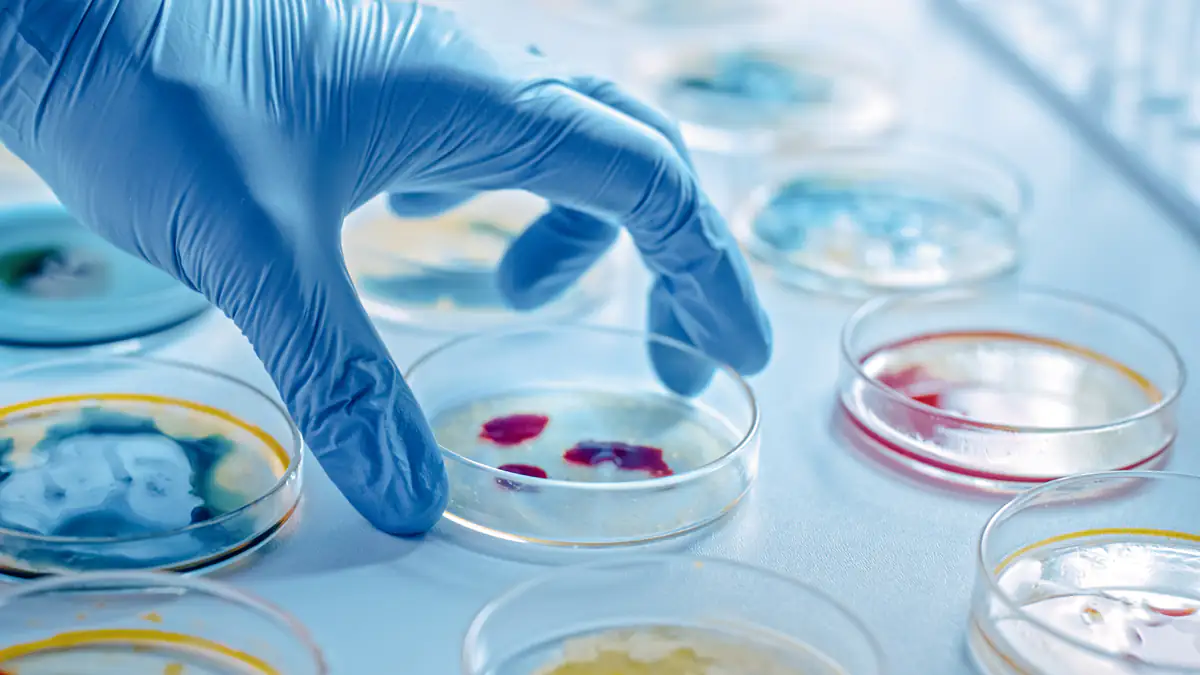 Corona: Diese Symptome treten bei Omikron auf