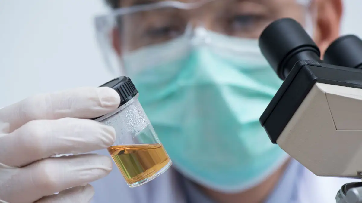 Urin gegen Welthunger? Wissenschaftler haben einen verrückten Plan