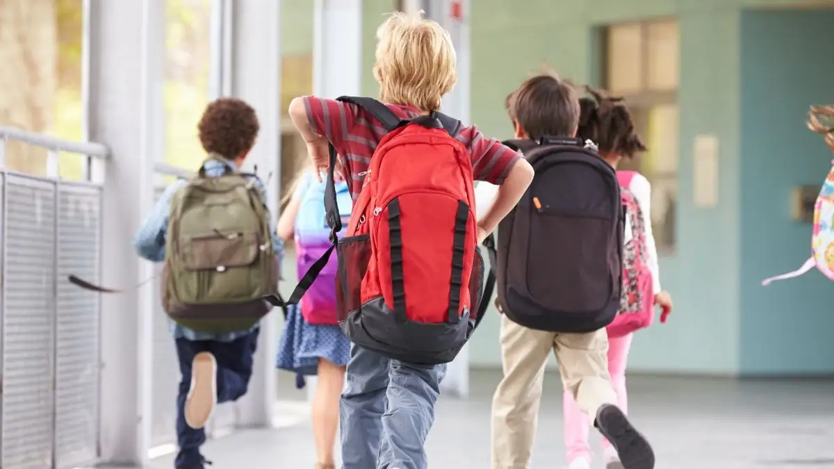 Neuer Lehrplan: Grundschülern soll Masturbieren beigebracht werden