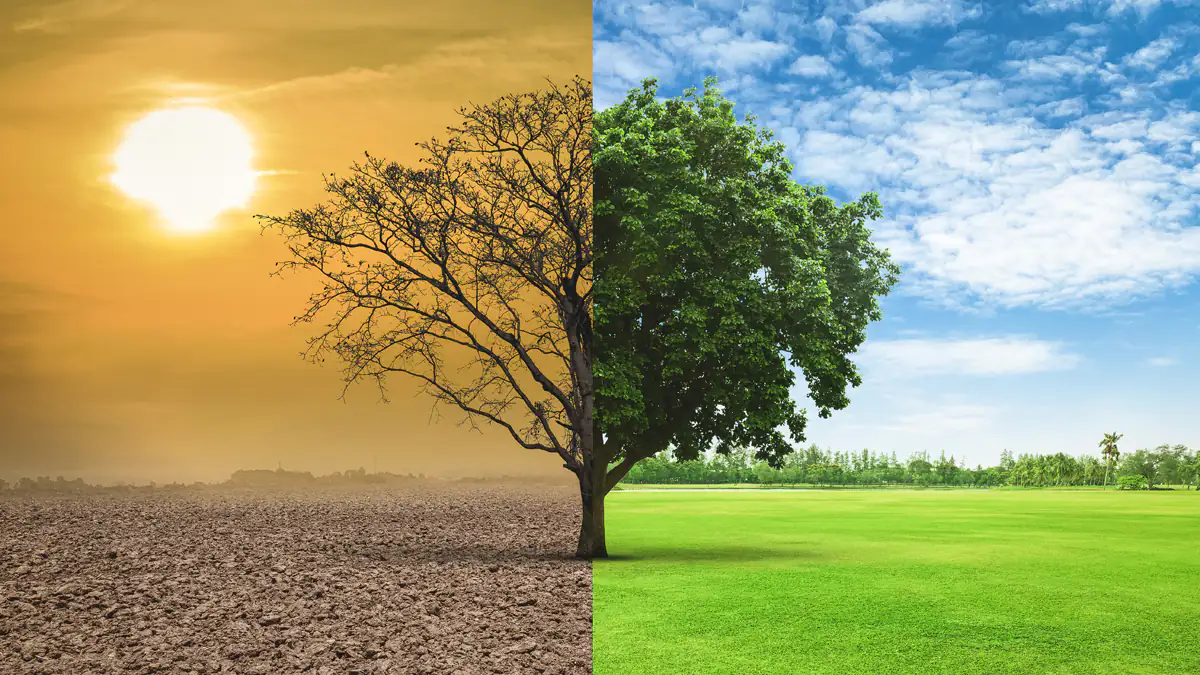 Studie enthüllt: Klimawandel begünstigt Virusgefahr für die Menschheit