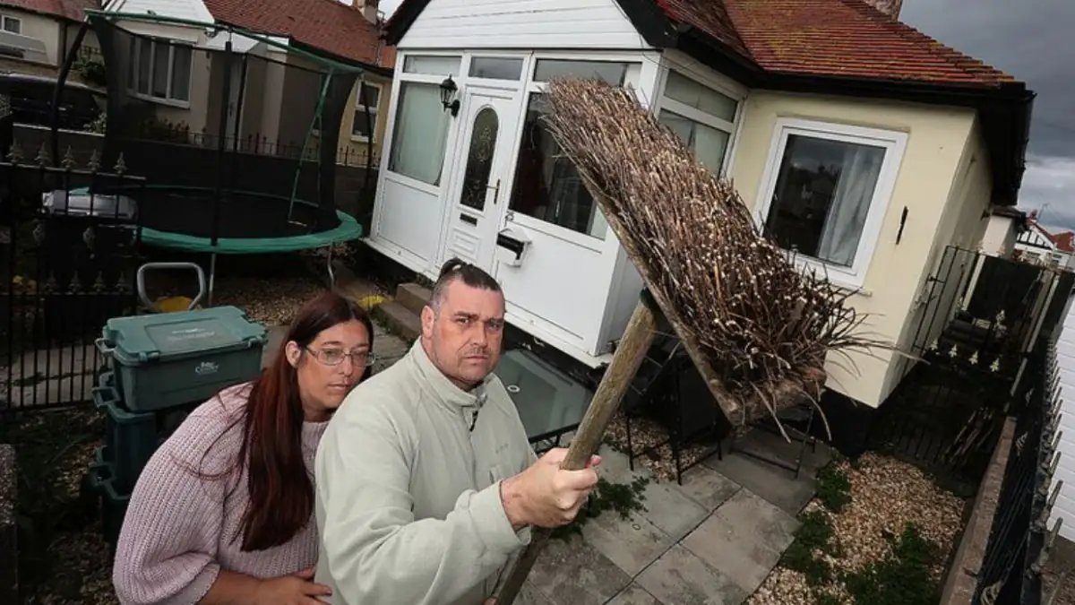 "Psycho"-Möwen attackieren Familie und halten sie in Bungalow gefangen