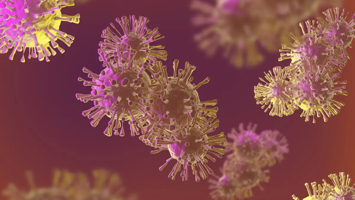 Laut Wissenschaftler: Deshalb hatten manche Menschen kein Corona