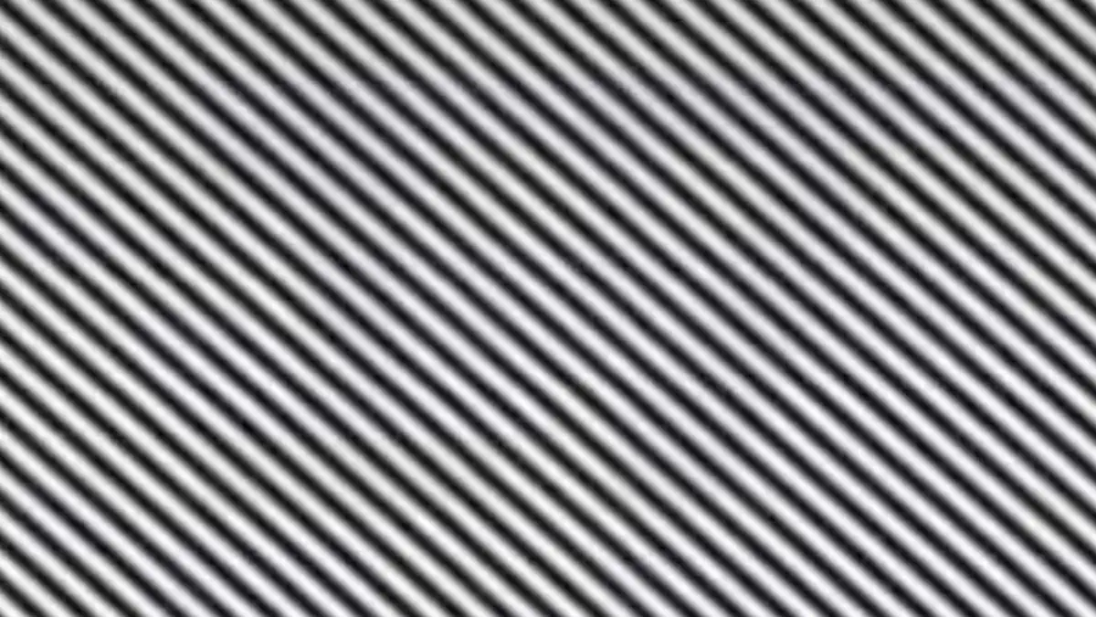 Optische Täuschung: Welche Nummer versteckt sich hier?