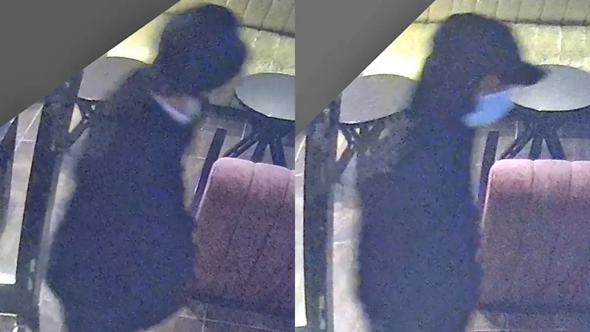 Mordfall: Täter in Hamburger Shisha-Bar konnten aufgezeichnet werden