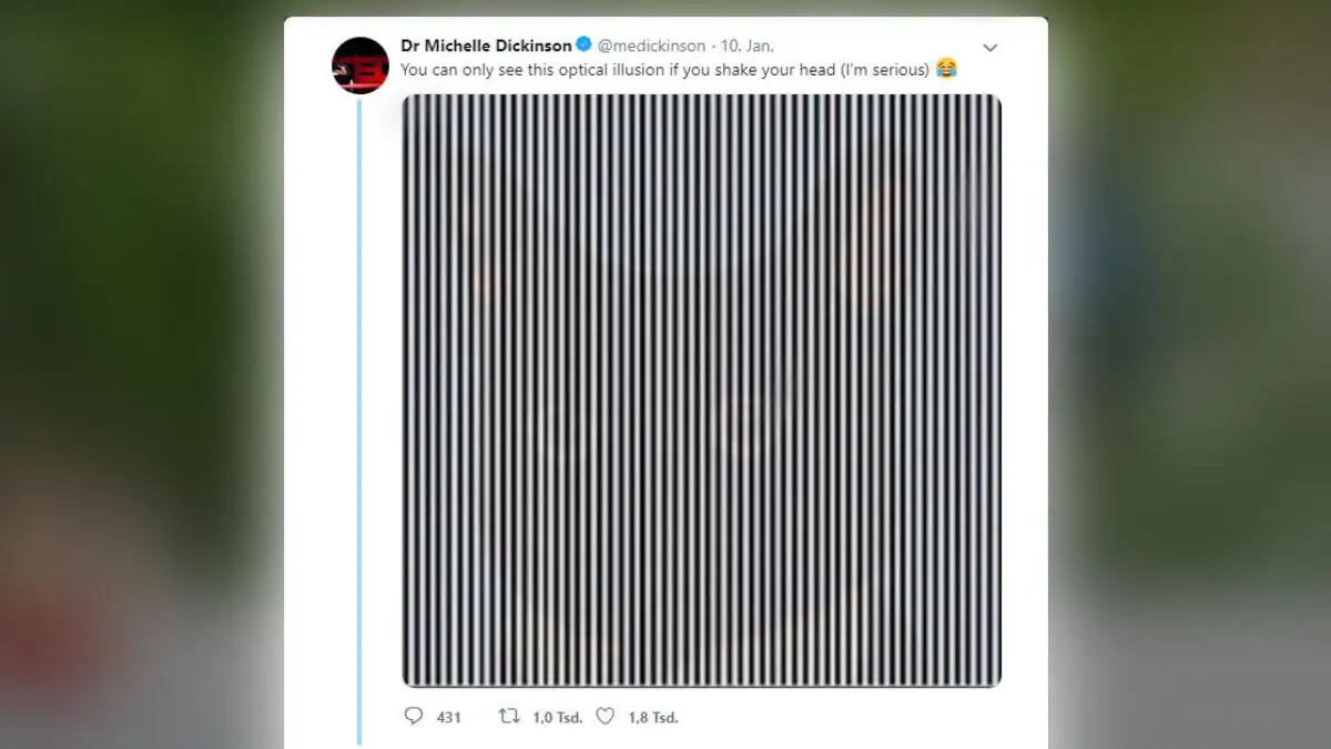 Optische Täuschung: Erkennt ihr das Bild im Bild?