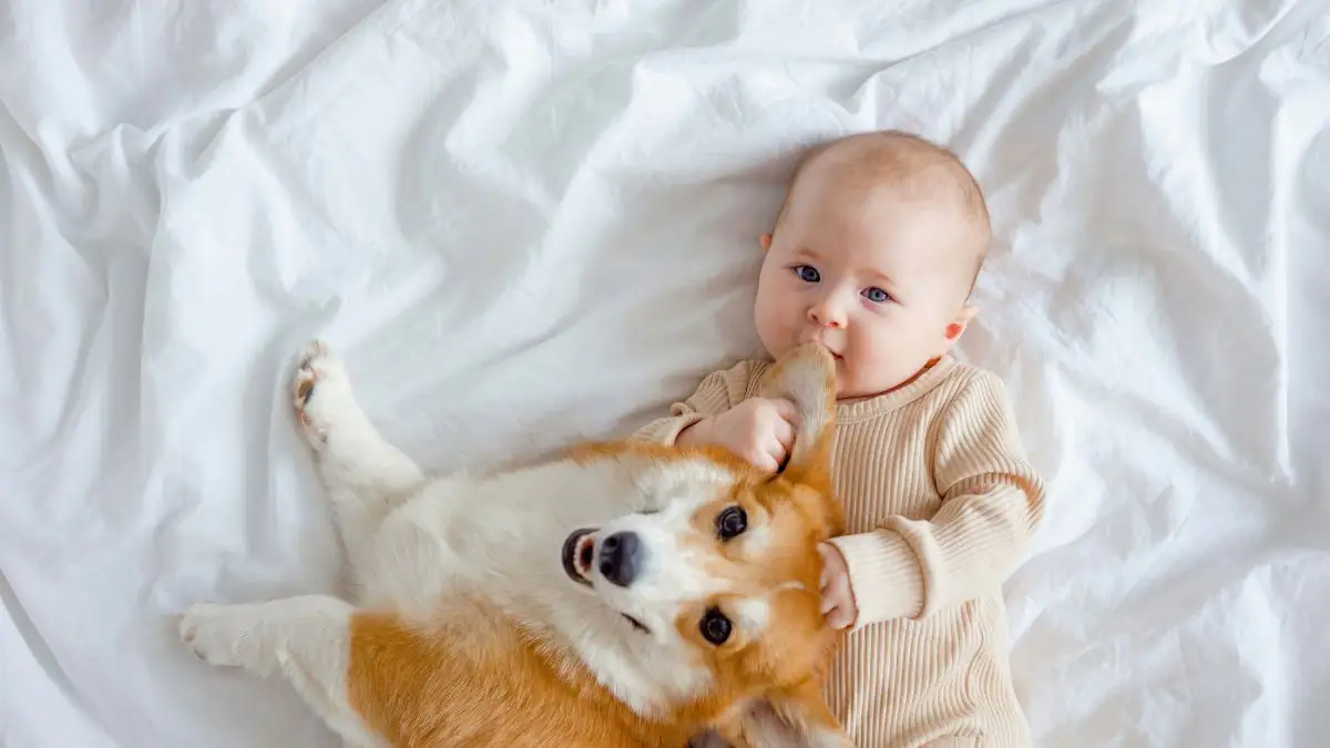 "Satan" und "Waldmeister": Babynamen, die in Deutschland verboten sind