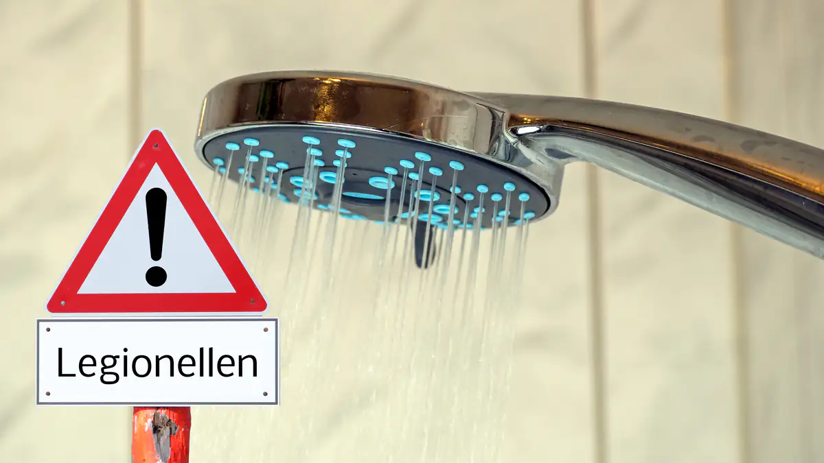 Warnung vor Legionellen: Energiesparen wird zur Gefahr