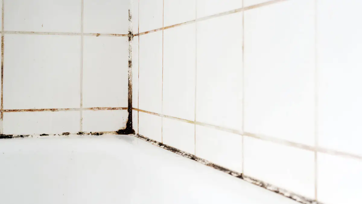 Silikonfugen reinigen – so werden die Fugen in Bad und Küche wieder sauber