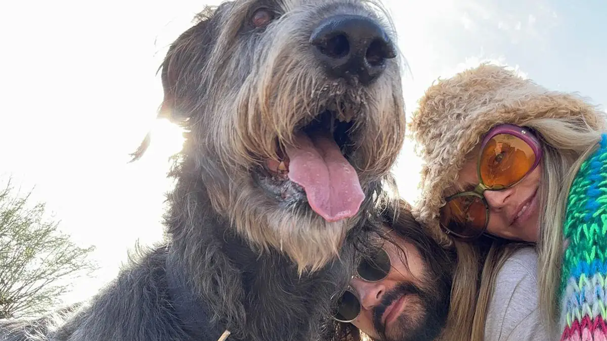 Wurden sie getötet? Heidi Klum verliert ihre Hunde innerhalb von zwei Wochen