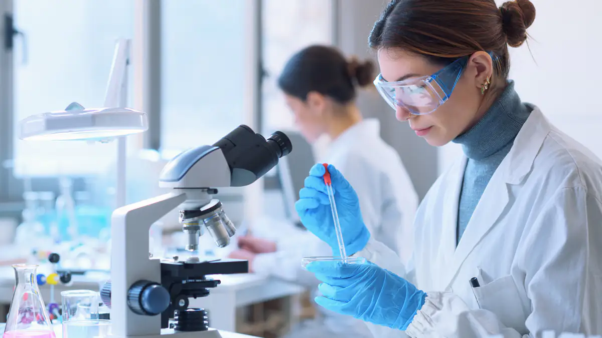 Gefährliches Borna-Virus: Seltene Infektion in Bayern gemeldet