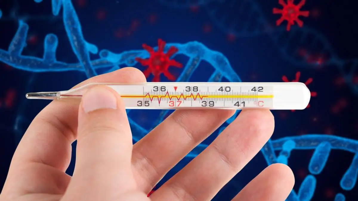 Neue Welle: Oft wird die Lungenentzündung durch Mykoplasmen nicht erkannt!