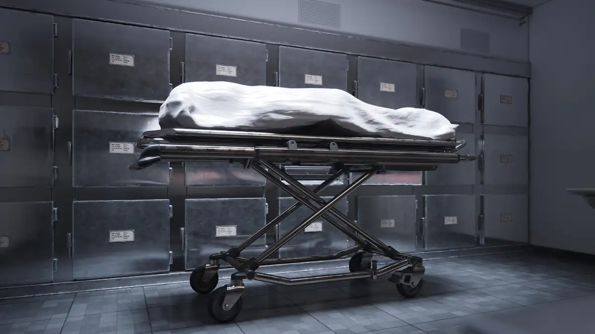 100 Jahre „eingefroren“: Berliner Start-up will Tote wieder zum Leben erwecken