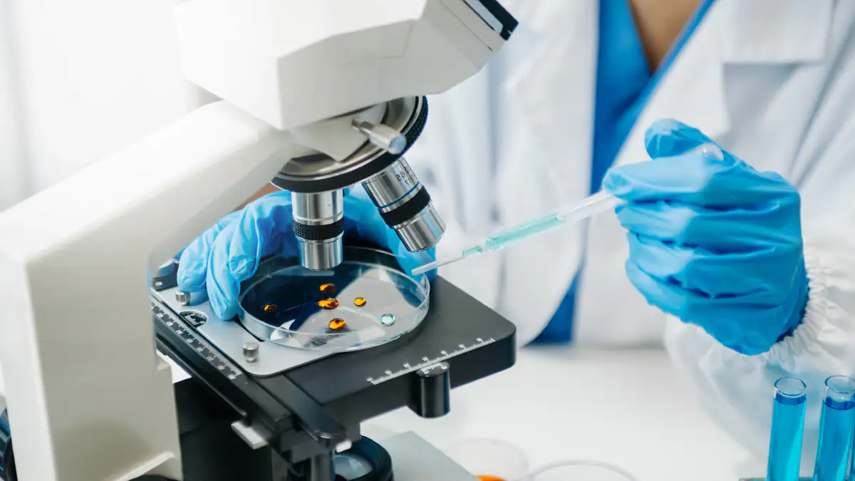 West-Nil-Virus in Deutschland nachgewiesen – Experten schlagen Alarm