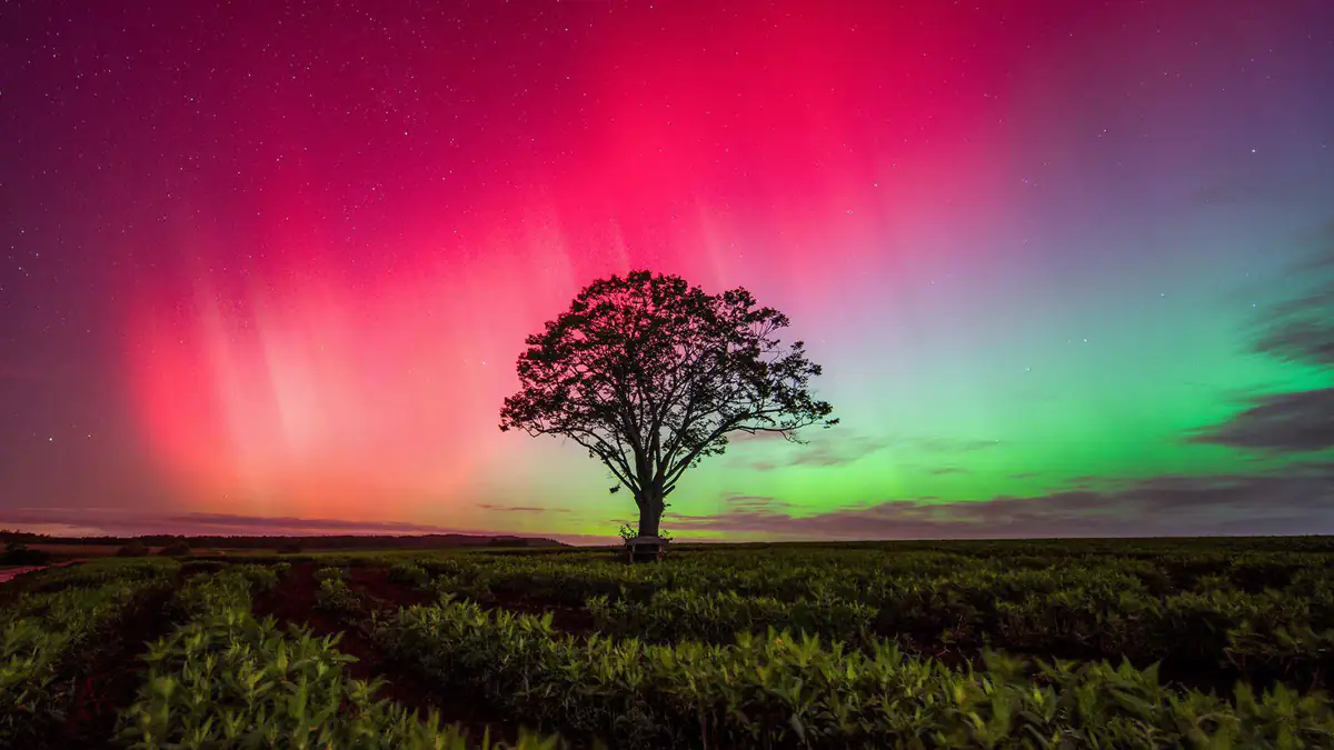 Spektakuläre Polarlichter angekündigt: Erhöhte Sonnenaktivität sorgt 2025 für Ausnahmesituation