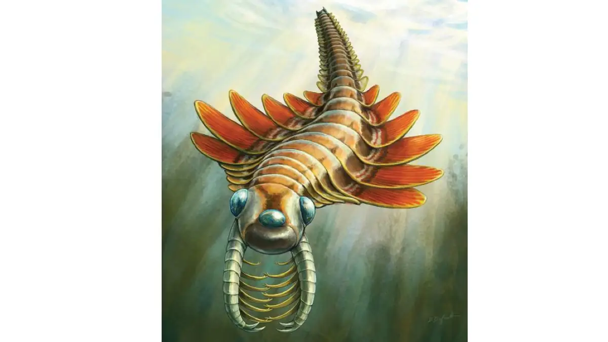 „Mosura fentoni“: Lebenskonstruktion eines alten Fossils, das aussieht wie eine Wassermotte