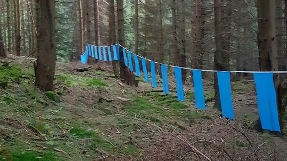 Versteckte Bedeutung: Blaue Stoffstreifen am Straßenrand geben wichtigen Hinweis