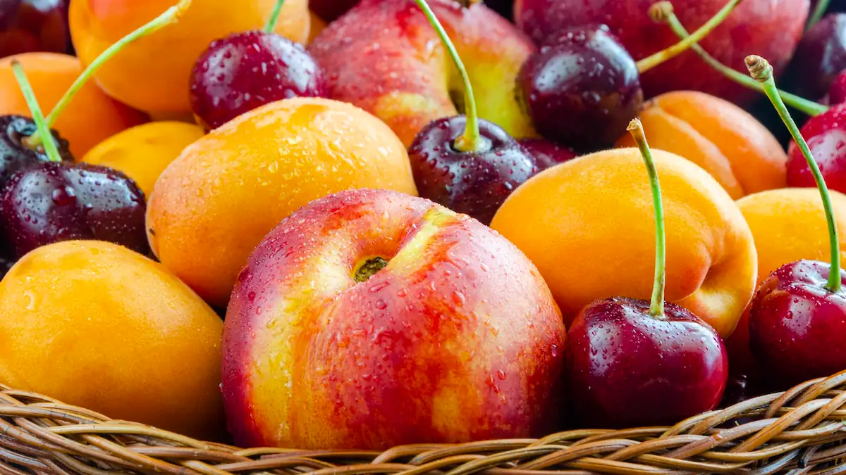 Korb mit Obst, darunter Kirschen und Aprikosen