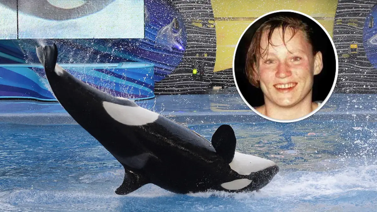Ihre letzten Worte erschüttern: Trainerin wurde von drei Schwertwalen getötet