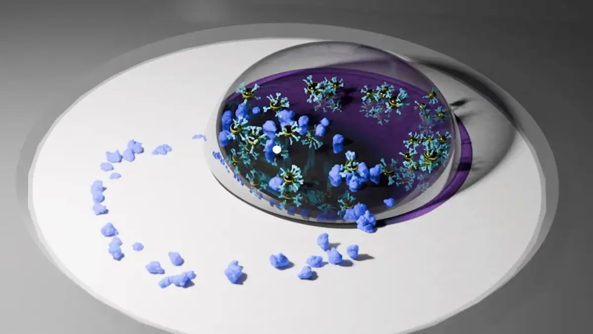 Schnelltest für Krebs und andere Krankheiten: Symbolbild für den Kaffee-Ring-Effekt, der bei der Erkennung hilft