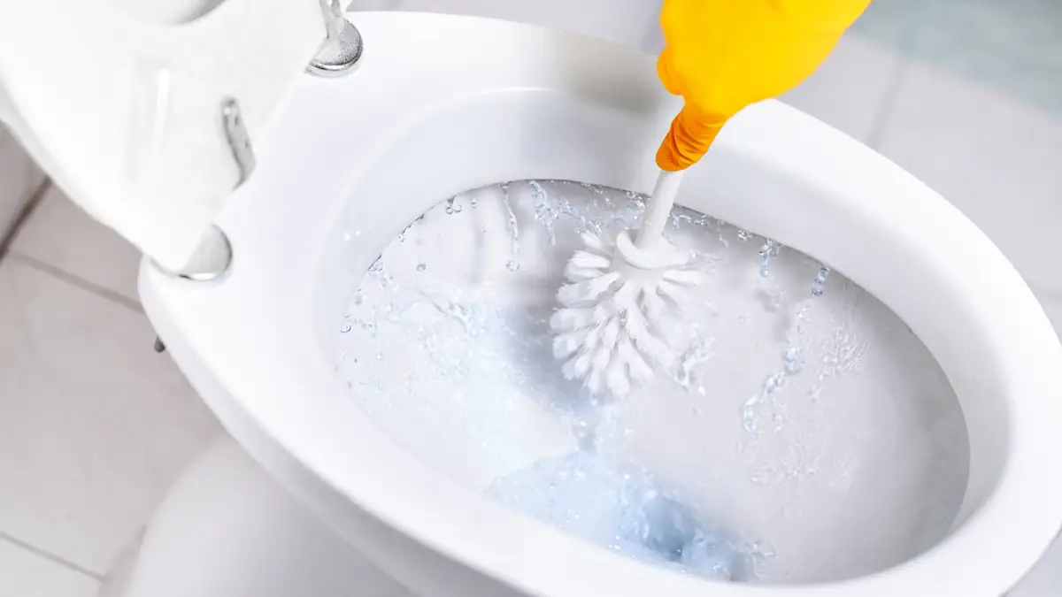 Teebeutel in Toilette: Jemand reinigt seine Toilette mit der Klobürste