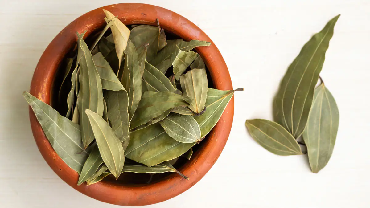Lorbeerblätter mit Salz bestreuen: Ein Hausfrauen-Trick für bessere Luft im Sommer